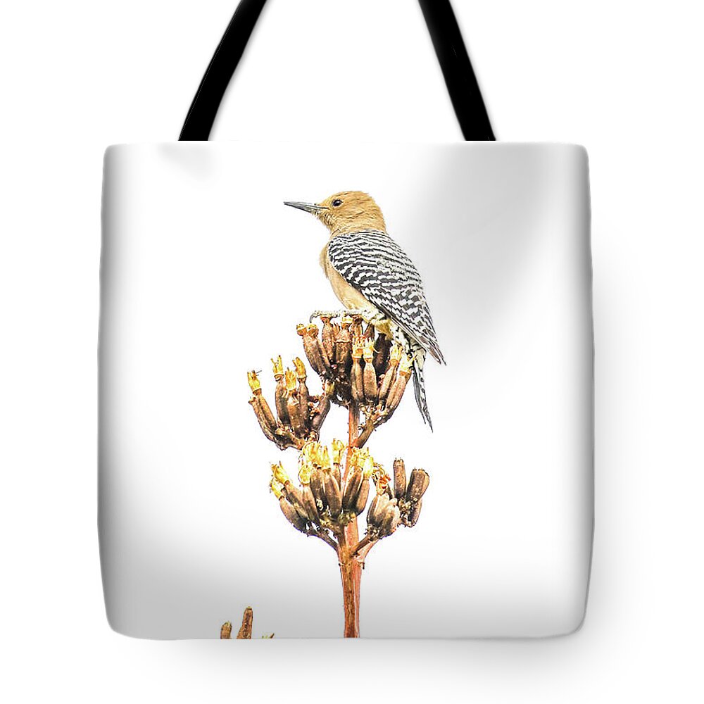 Nature Tote Bag featuring the photograph Gila Woodpecker by Tom and Pat Cory