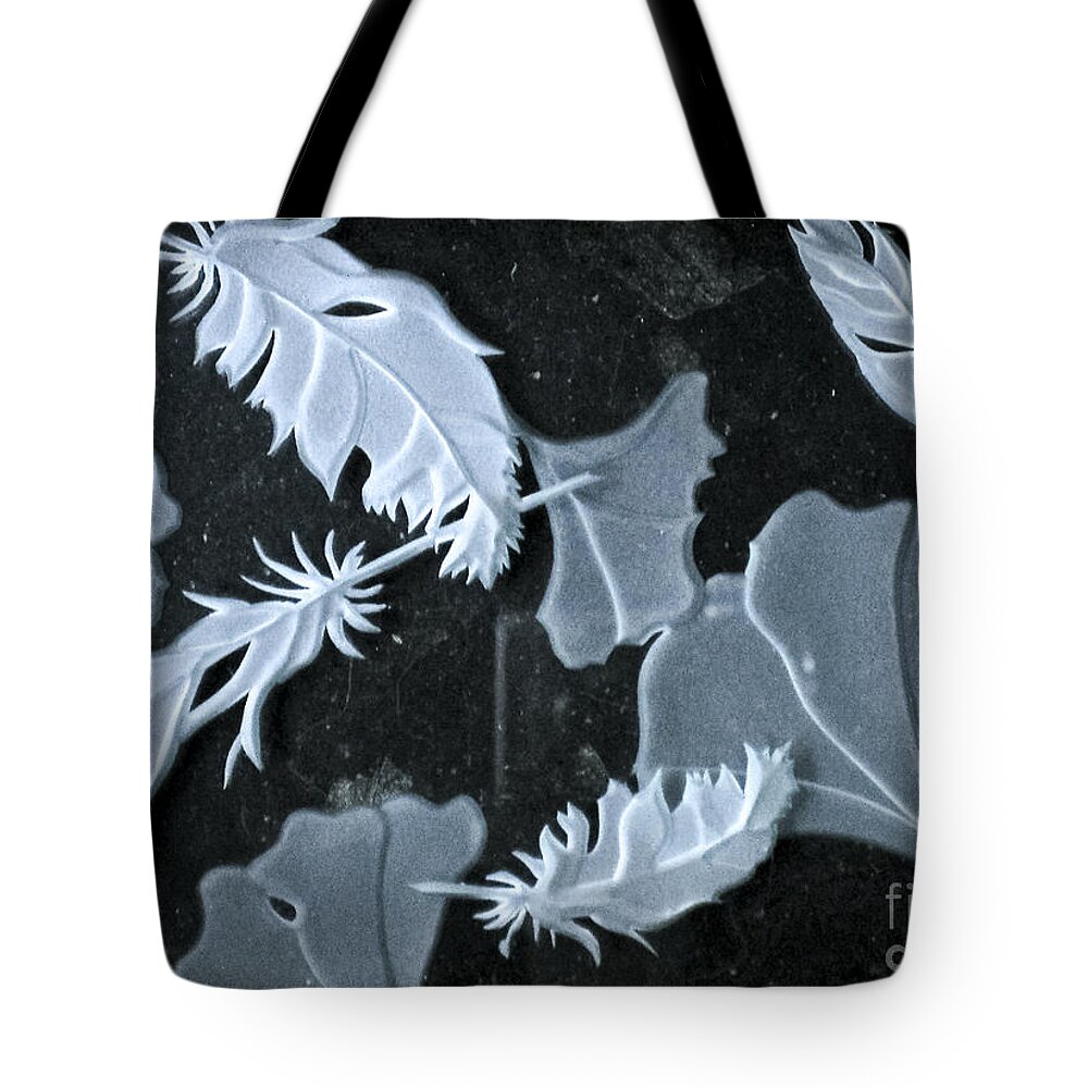 Black Tote Bag featuring the photograph Ginko Leaves and Feathers by Alone Larsen