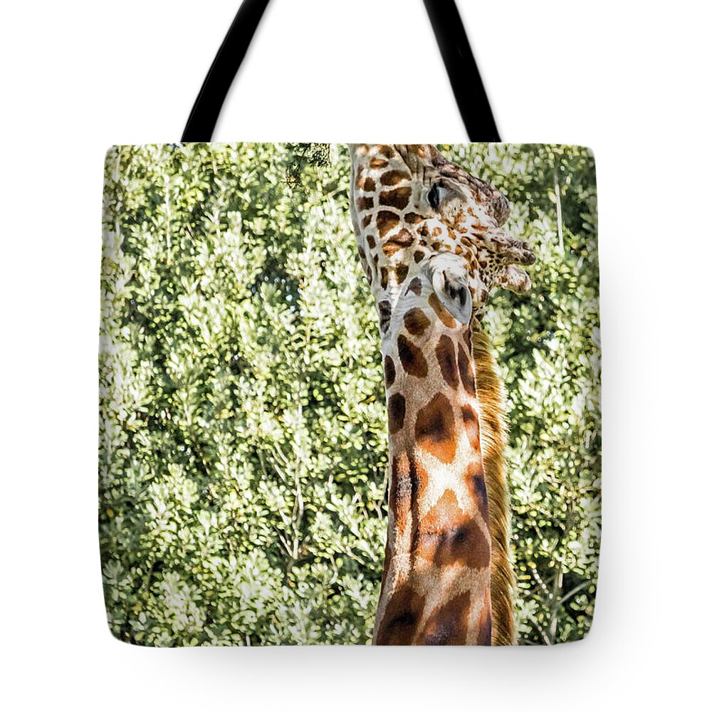 Giraffe Tote Bag featuring the photograph Giraffe by Kate Brown