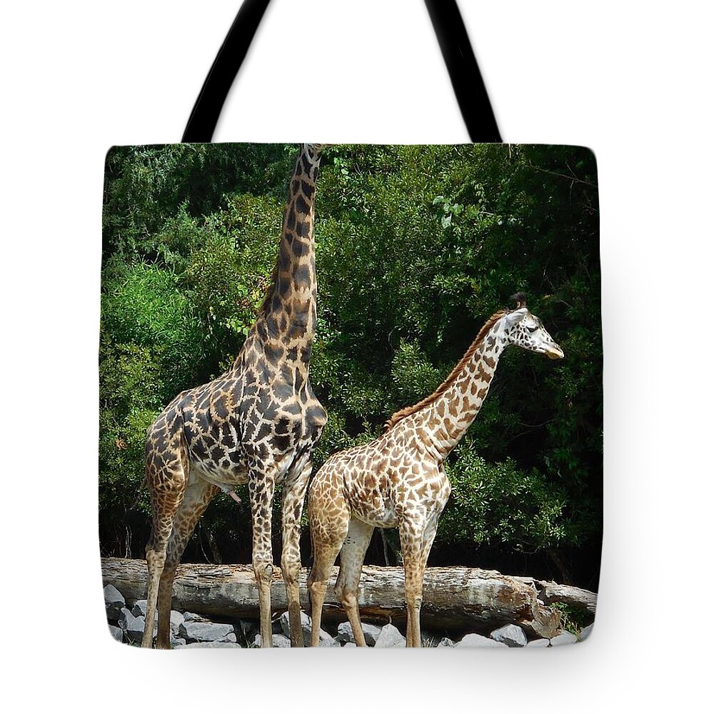 Giraffe Tote Bag featuring the photograph Giraffe, Male and Female by Captain Debbie Ritter