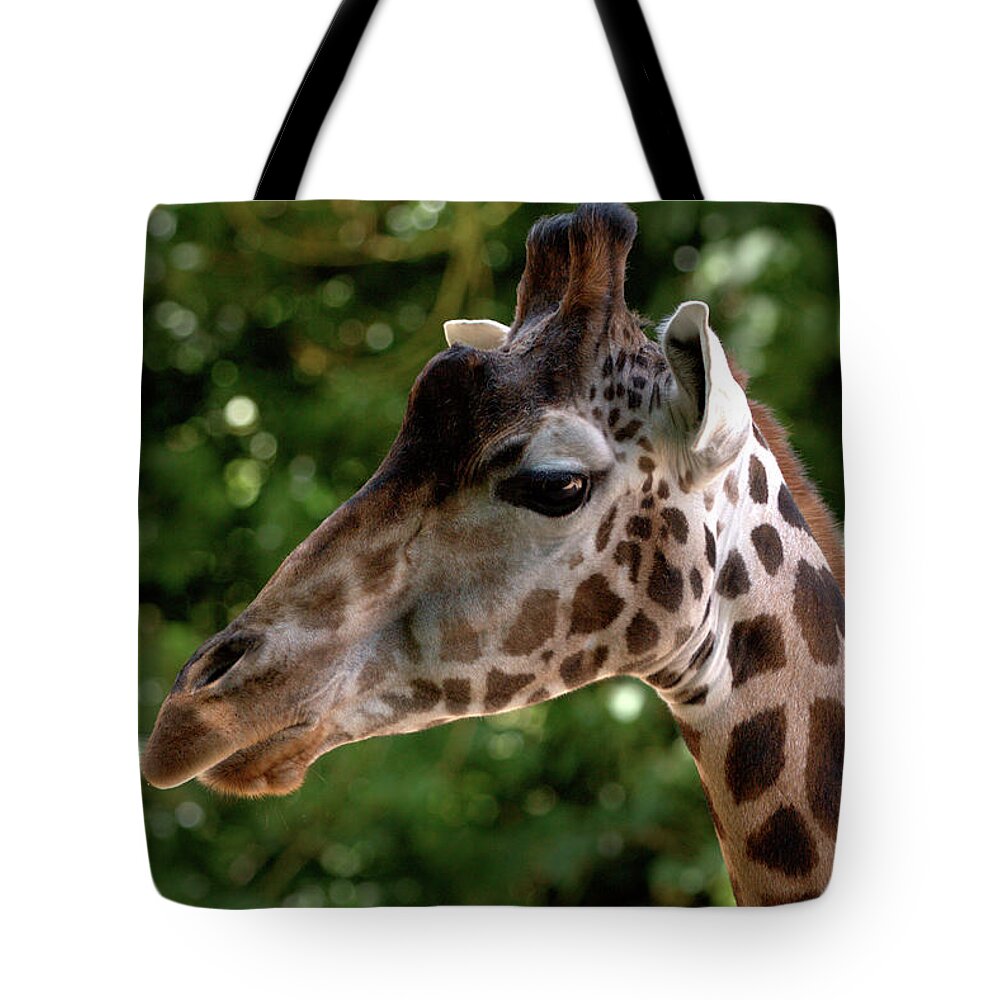 Tall Tote Bag featuring the photograph Giraffe Portrait by Baggieoldboy