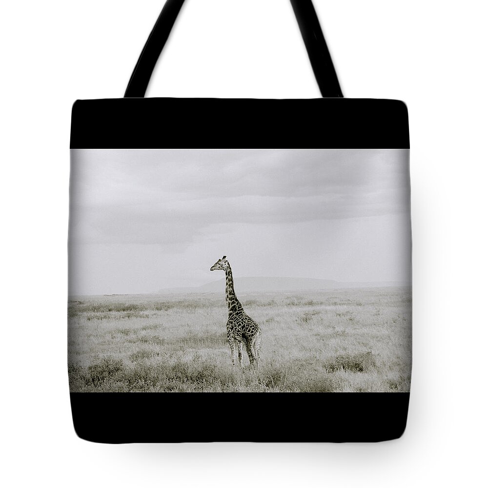 Africa Tote Bag featuring the photograph Giraffe by Shaun Higson