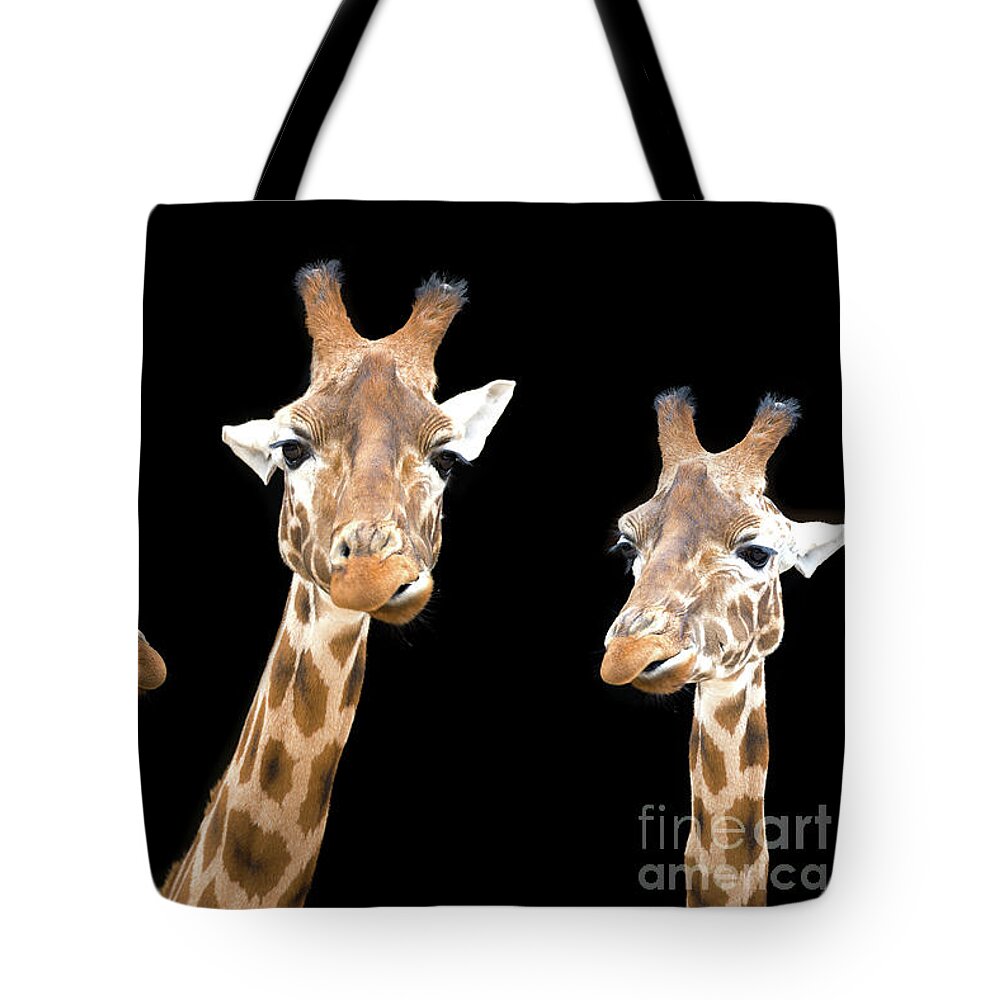 Giraffe Tote Bag featuring the photograph Giraffe trio by Jane Rix