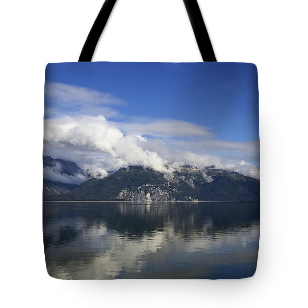 Alaska Tote Bag featuring the photograph Glacier Bay 6 by Richard J Cassato