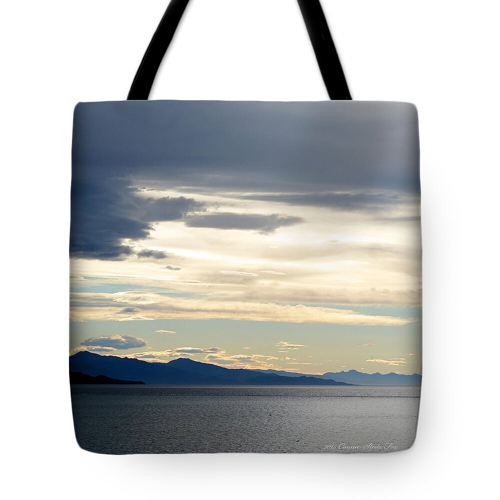 Seascape Tote Bag featuring the photograph Glacier Bay Seascapes. Morning Sky by Connie Fox