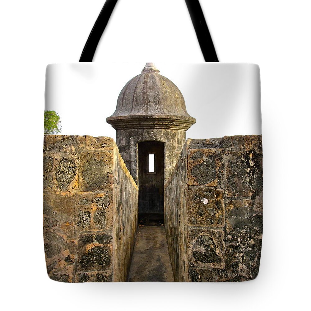 Color Tote Bag featuring the photograph Glaze into The Past by Maritza Melendez