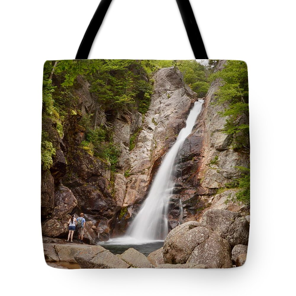 Landscape Tote Bag featuring the photograph Glen Ellis Falls by Harry Moulton