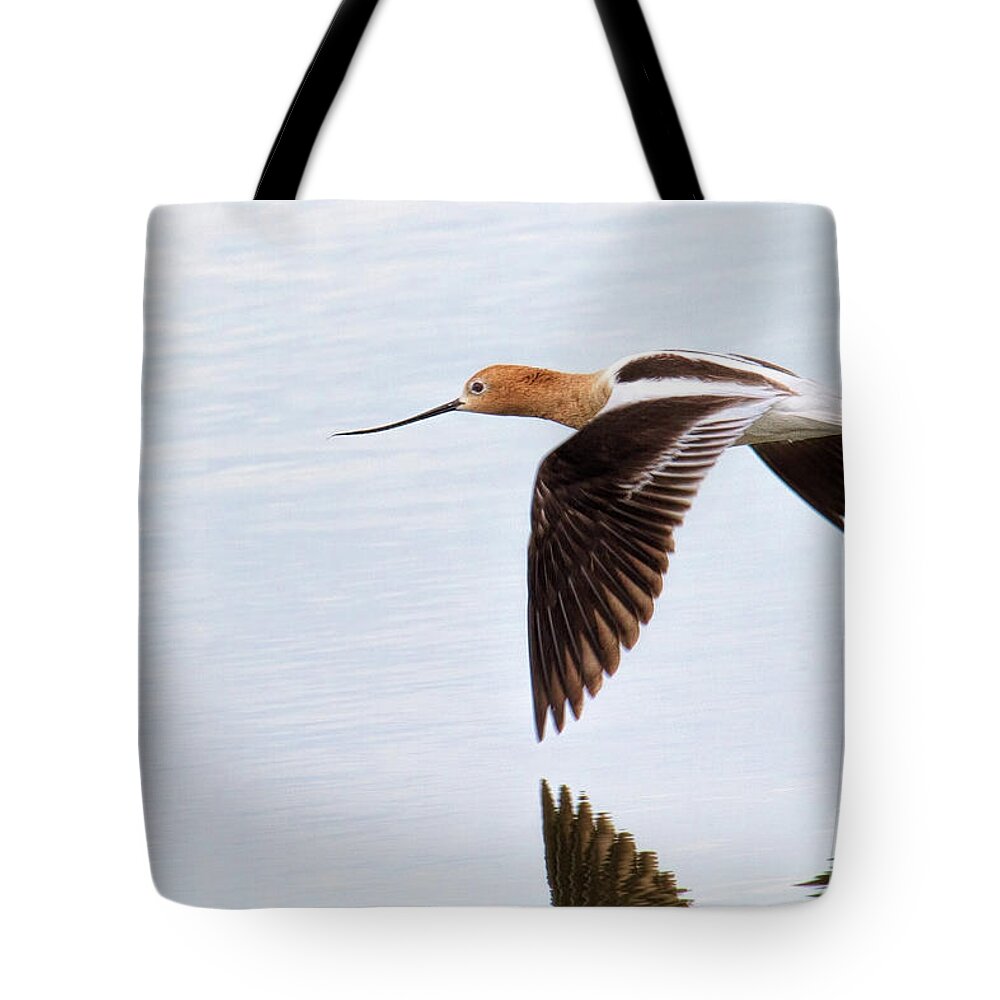 Avocet Tote Bag featuring the photograph Glide Path by Jim Garrison