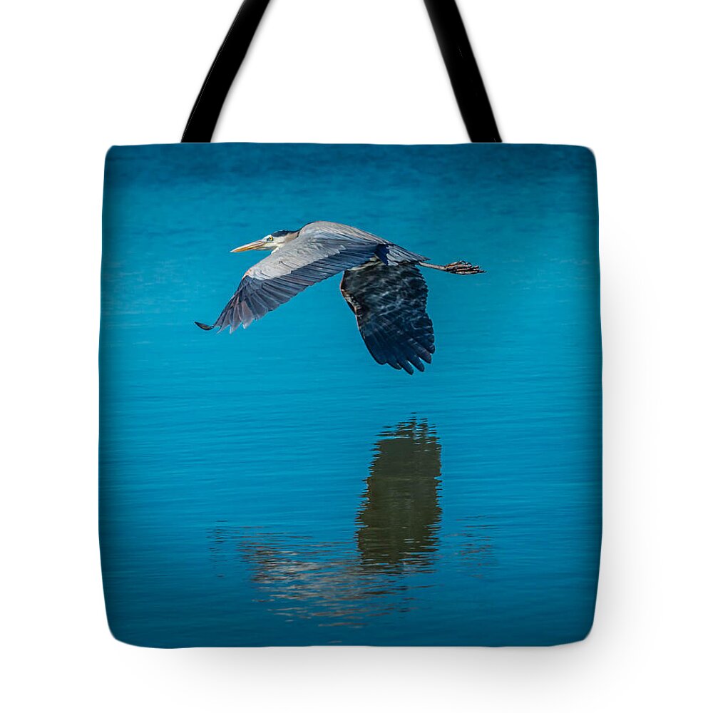 Feathers Tote Bag featuring the photograph Gliding Low by Leticia Latocki