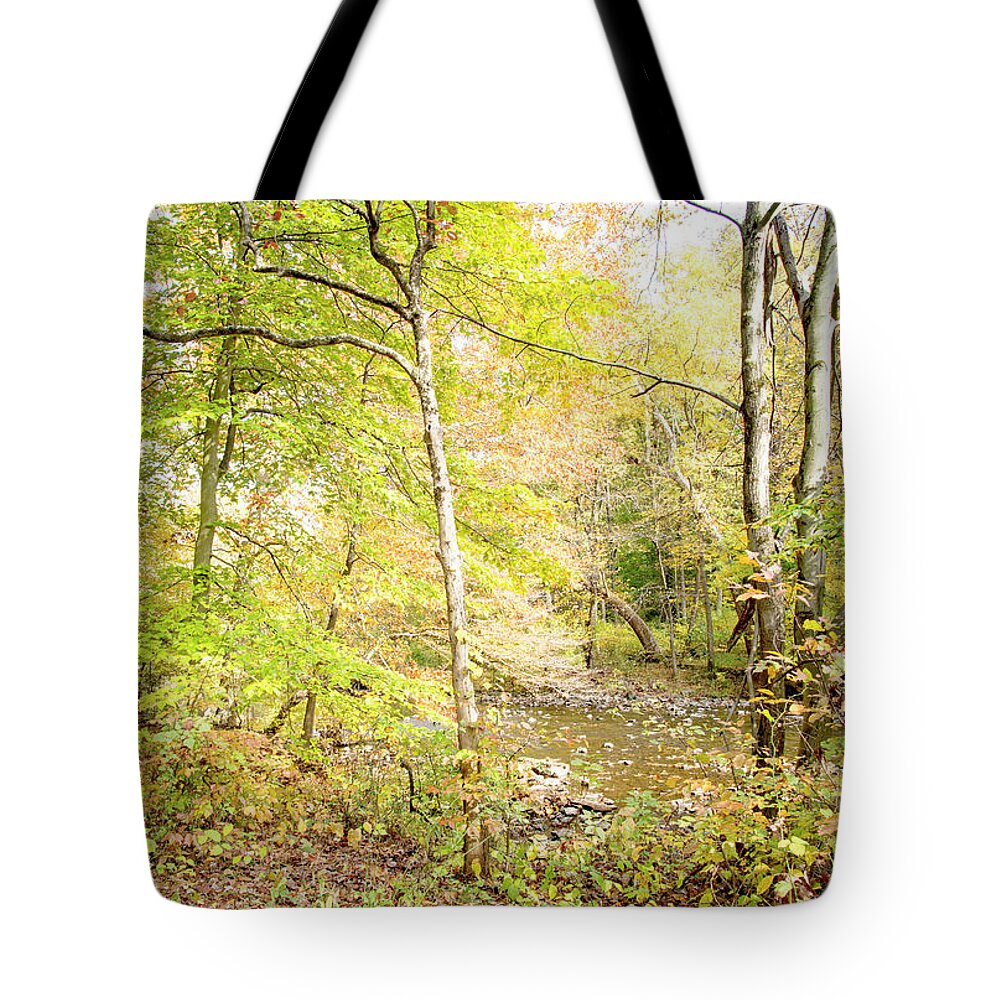 Stream Tote Bag featuring the photograph Glimpse of a Stream in Autumn by A Macarthur Gurmankin