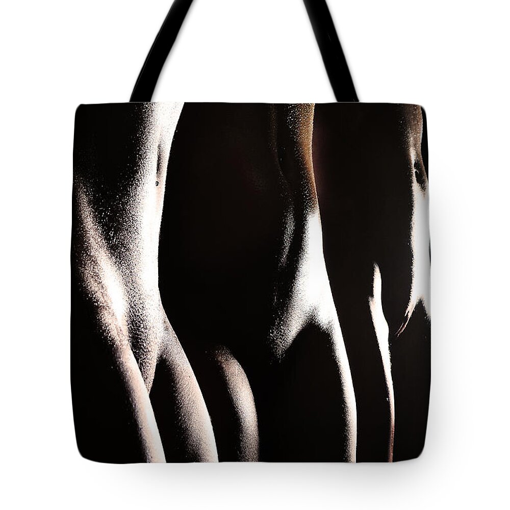 Artistic Tote Bag featuring the photograph Glistening oasis by Robert WK Clark