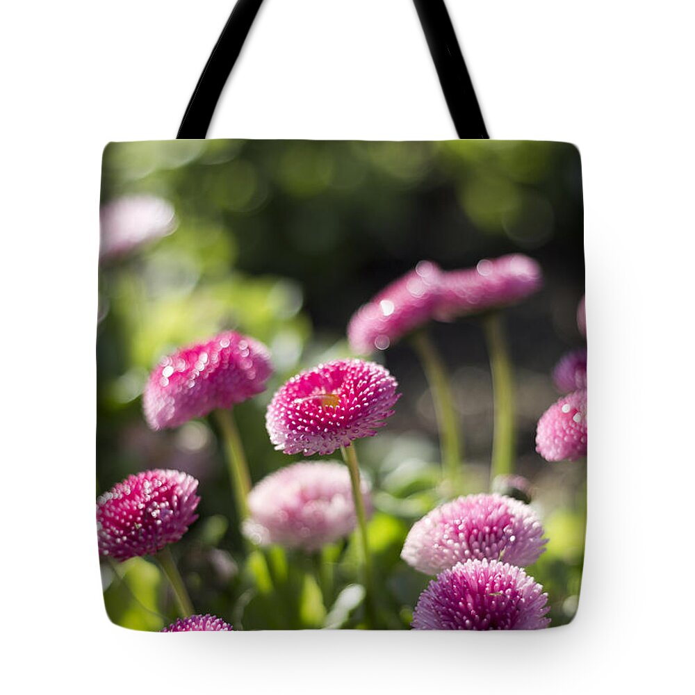 Nature Tote Bag featuring the photograph Glittering daisies by Helga Novelli