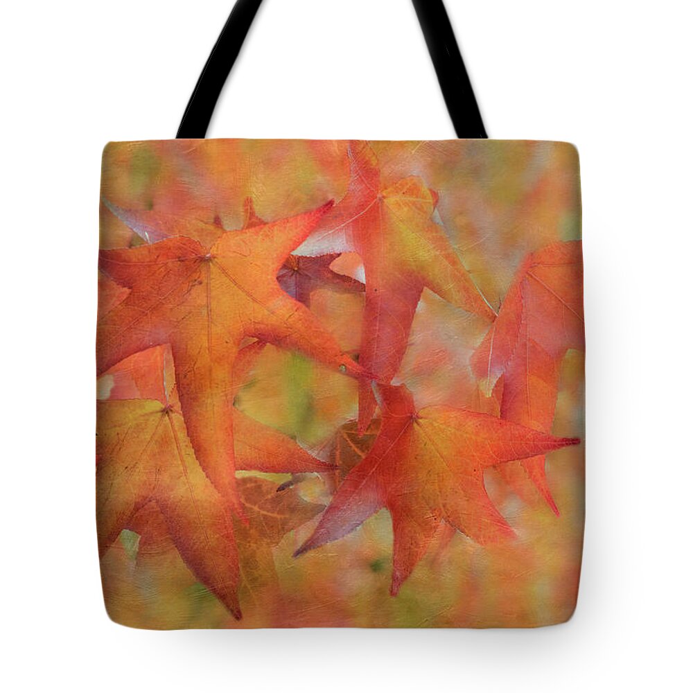 Autumn Tote Bag featuring the photograph Glorious Autumn by Angie Vogel