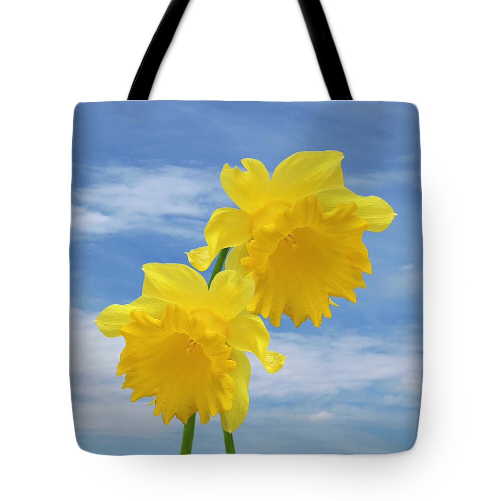 Daffodil Tote Bag featuring the photograph Glorious Spring Daffodils Square by Gill Billington