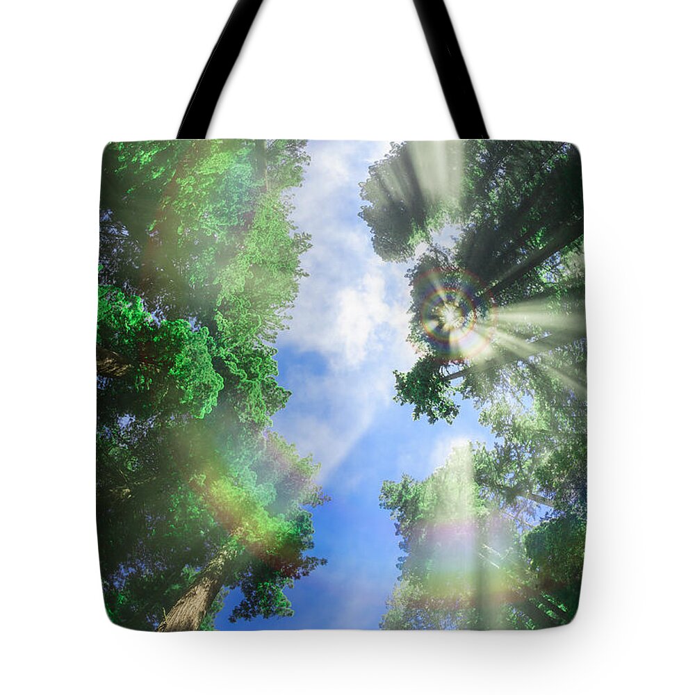 Metal Print Tote Bag featuring the photograph Glory Amongst Redwoods by Scott Campbell