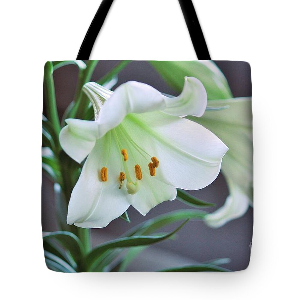 Lily Tote Bag featuring the photograph Glory Glory by Marcia Breznay