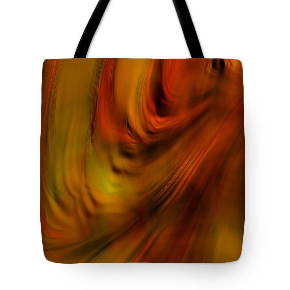 Digital Painting Tote Bag featuring the photograph Glory of Sunset by Bonnie Bruno