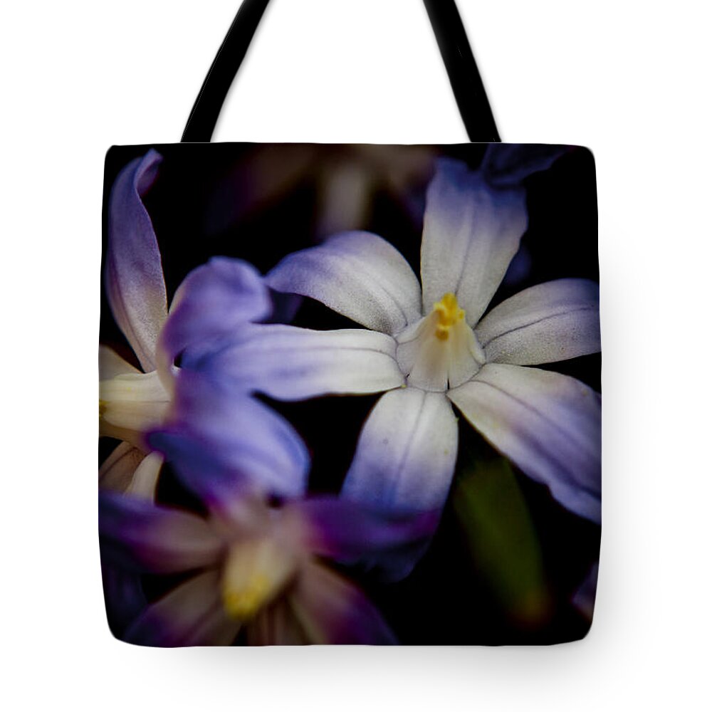 Glory Of The Snow Tote Bag featuring the photograph Glory Of The Snow by Spikey Mouse Photography