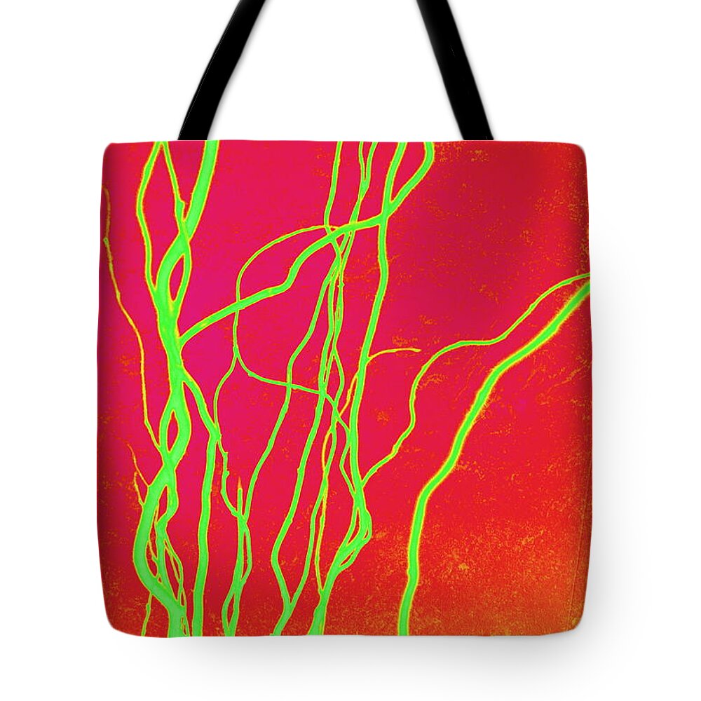 Modern Art Tote Bag featuring the photograph Glowing Branches by Marla McPherson