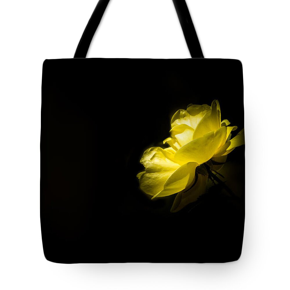 Jay Stockhaus Tote Bag featuring the photograph Glowing by Jay Stockhaus