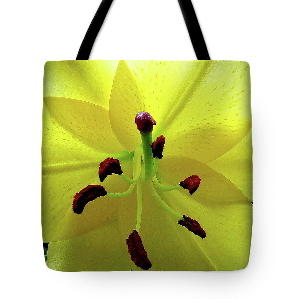 Flower Tote Bag featuring the photograph Glowing Lily by Linda Stern