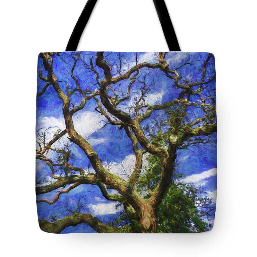 Tree Tote Bag featuring the photograph Starry Afternoon by Jerry Gammon