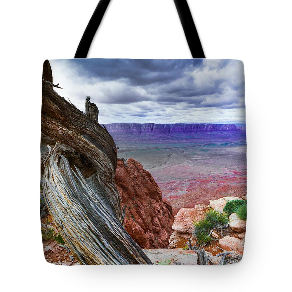 Gnarly Tote Bag featuring the photograph Gnarly Desert by Jim DeLillo