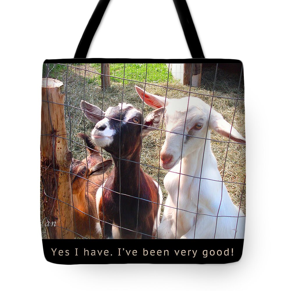 Three Goats Tote Bag featuring the photograph Goats Poster by Felipe Adan Lerma
