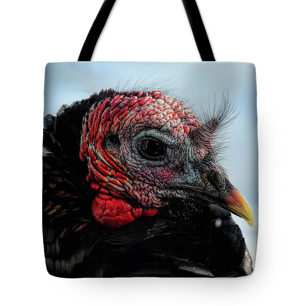 Wild Turkey Tote Bag featuring the photograph Gobbler Stare Down by Dale Kauzlaric