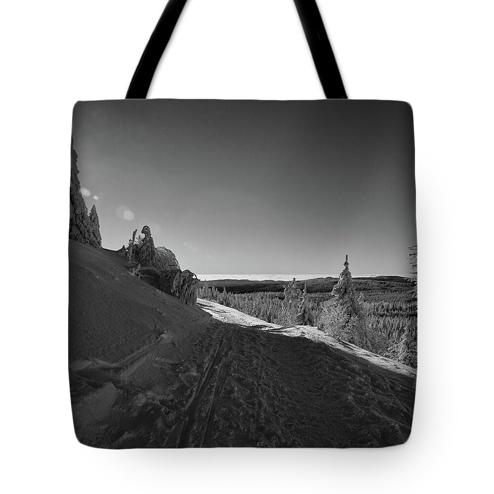 Nature Tote Bag featuring the photograph Goethe Way, Harz by Andreas Levi