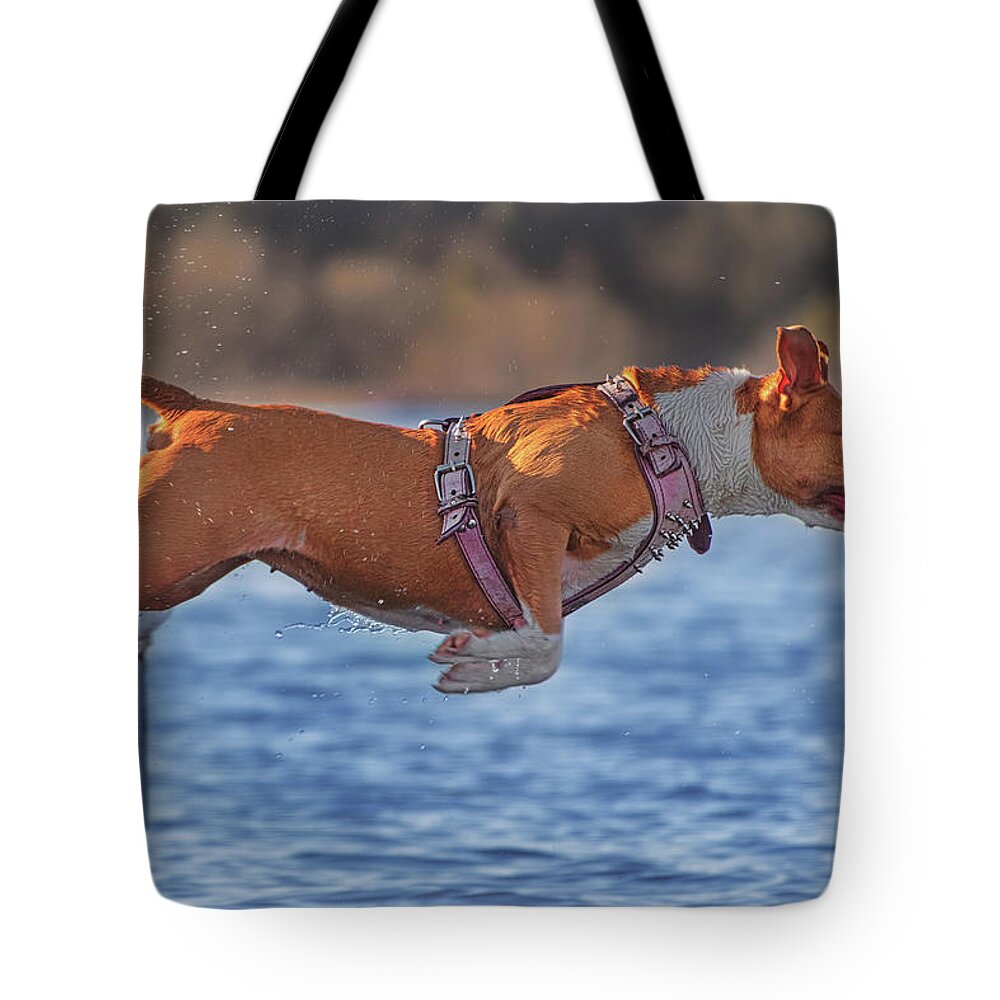 Animal Tote Bag featuring the photograph Going For A Swim by Brian Cross
