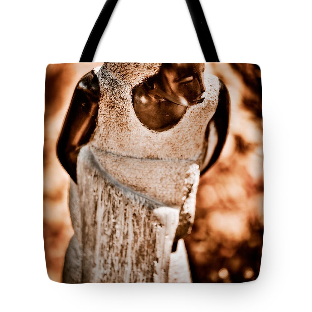 Art Tote Bag featuring the photograph Going to Bathe My Baby by Venetta Archer