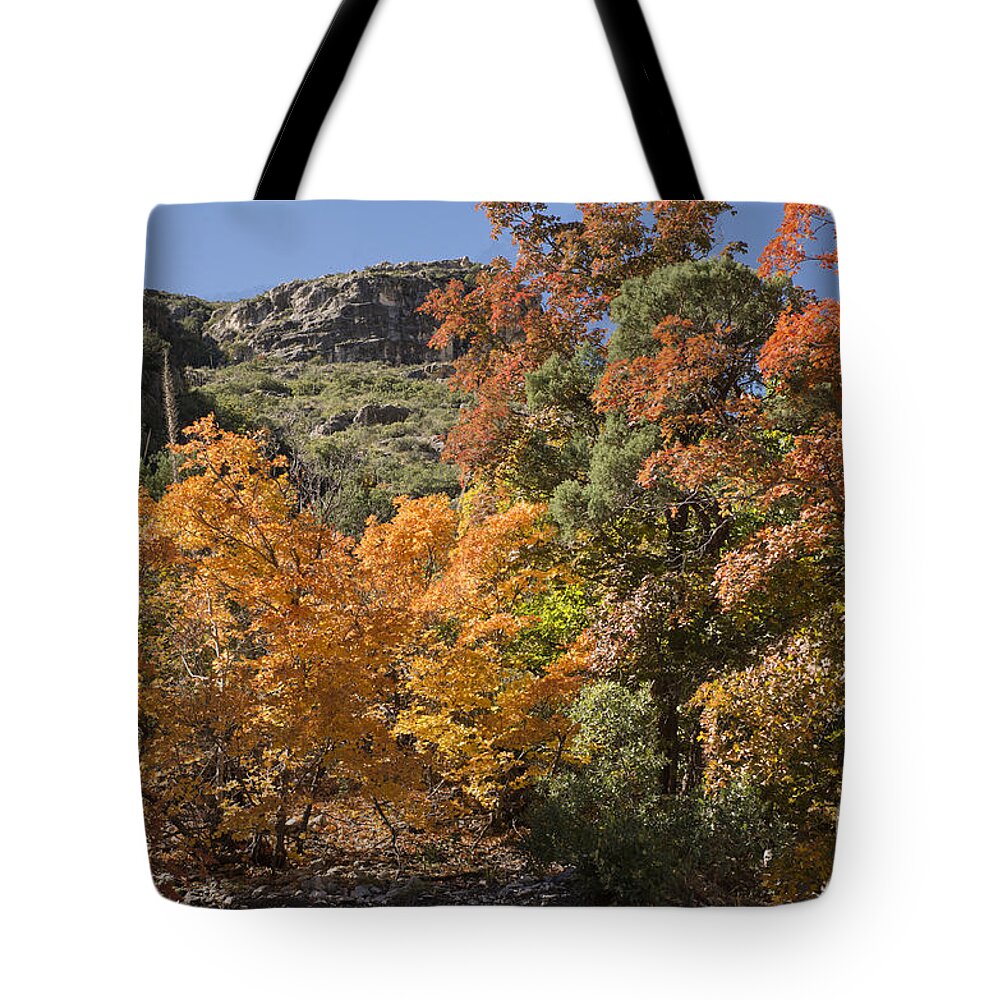 Guadalupe Mountains Tote Bag featuring the photograph Gold in the Mountains by Melany Sarafis