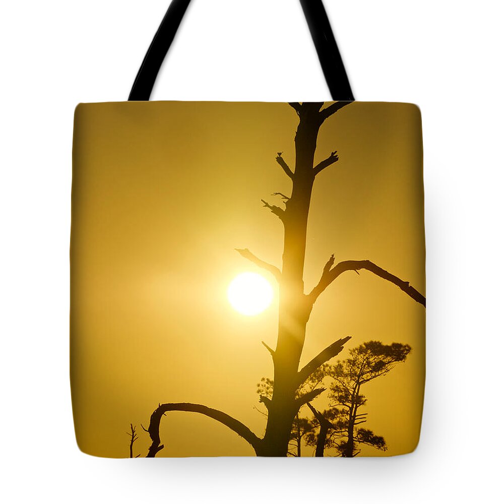 Silhouette Tote Bag featuring the photograph Gold Marsh by Rachel Morrison
