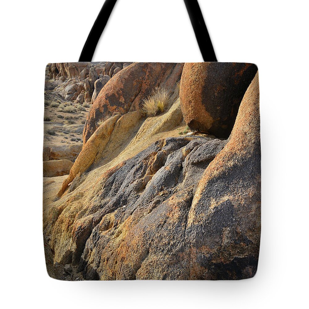 Alabama Hills Tote Bag featuring the photograph Golden Boulders in Alabama Hills by Ray Mathis