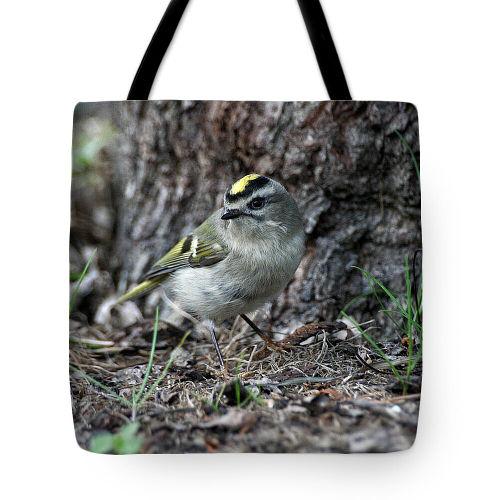 Wildlife Tote Bag featuring the photograph Golden-crowned Kinglet by William Selander