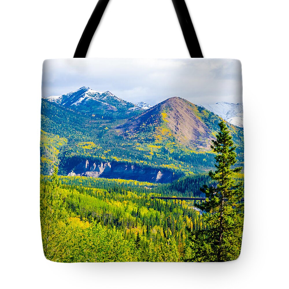 2015 Tote Bag featuring the photograph Golden Denali by Mary Carol Story