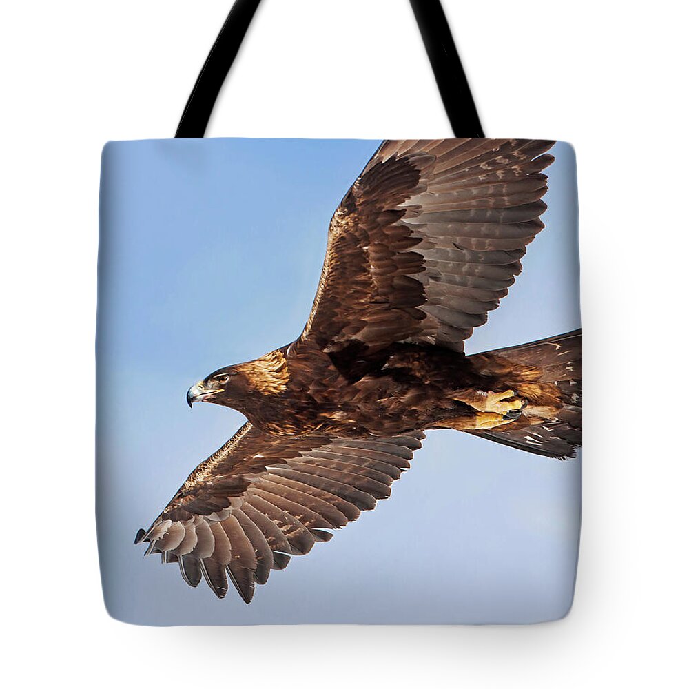 Golden Eagle Tote Bag featuring the photograph Golden Eagle Flight by Mark Miller