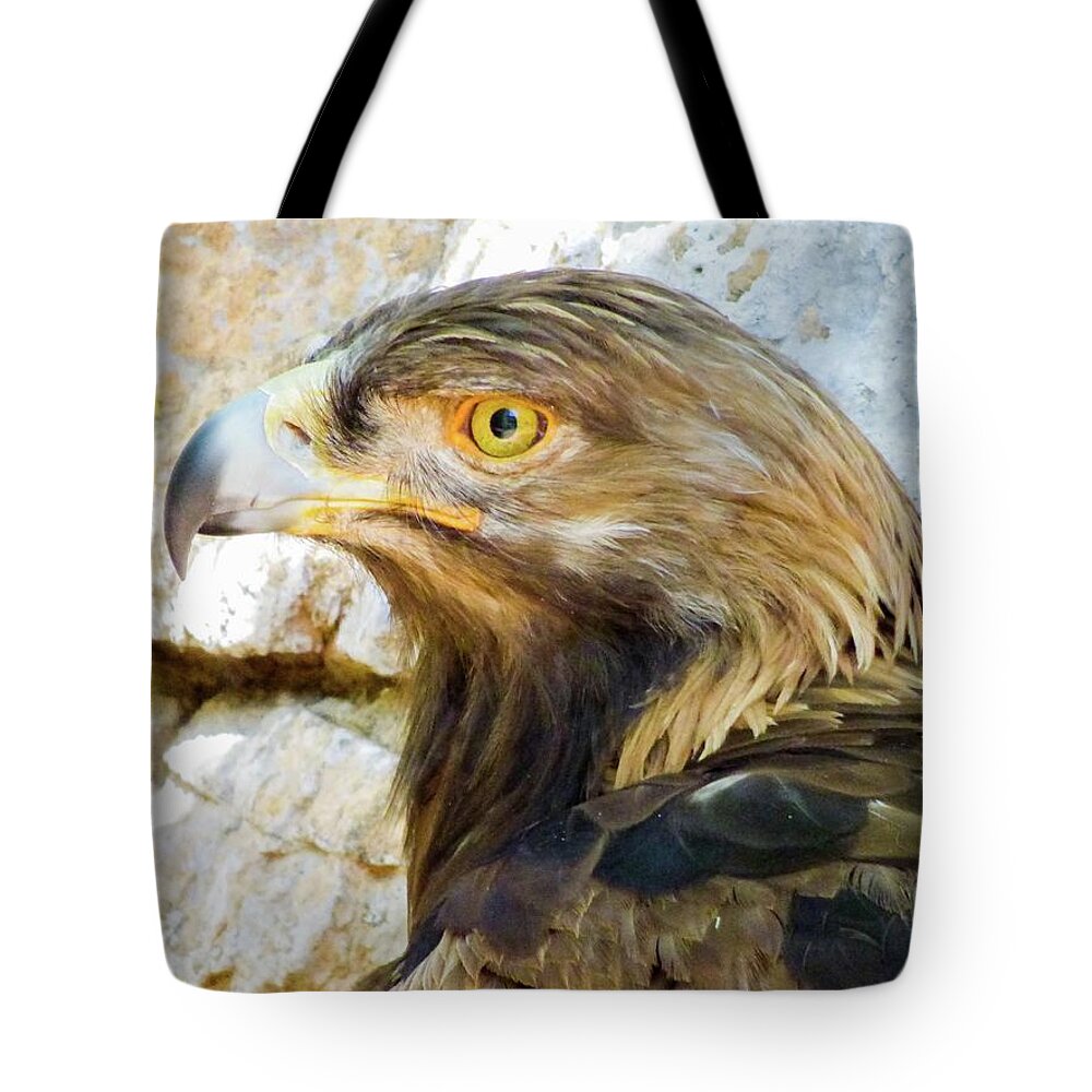 #orcinusfotograffy #arizona #phoenix #zoo #golden #eagle #beak #eyes #nature #animal #colors Tote Bag featuring the photograph Golden Eagle by Kimo Fernandez