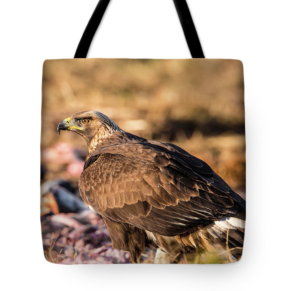 Golden Eagle Tote Bag featuring the photograph Golden Eagle's Back by Torbjorn Swenelius