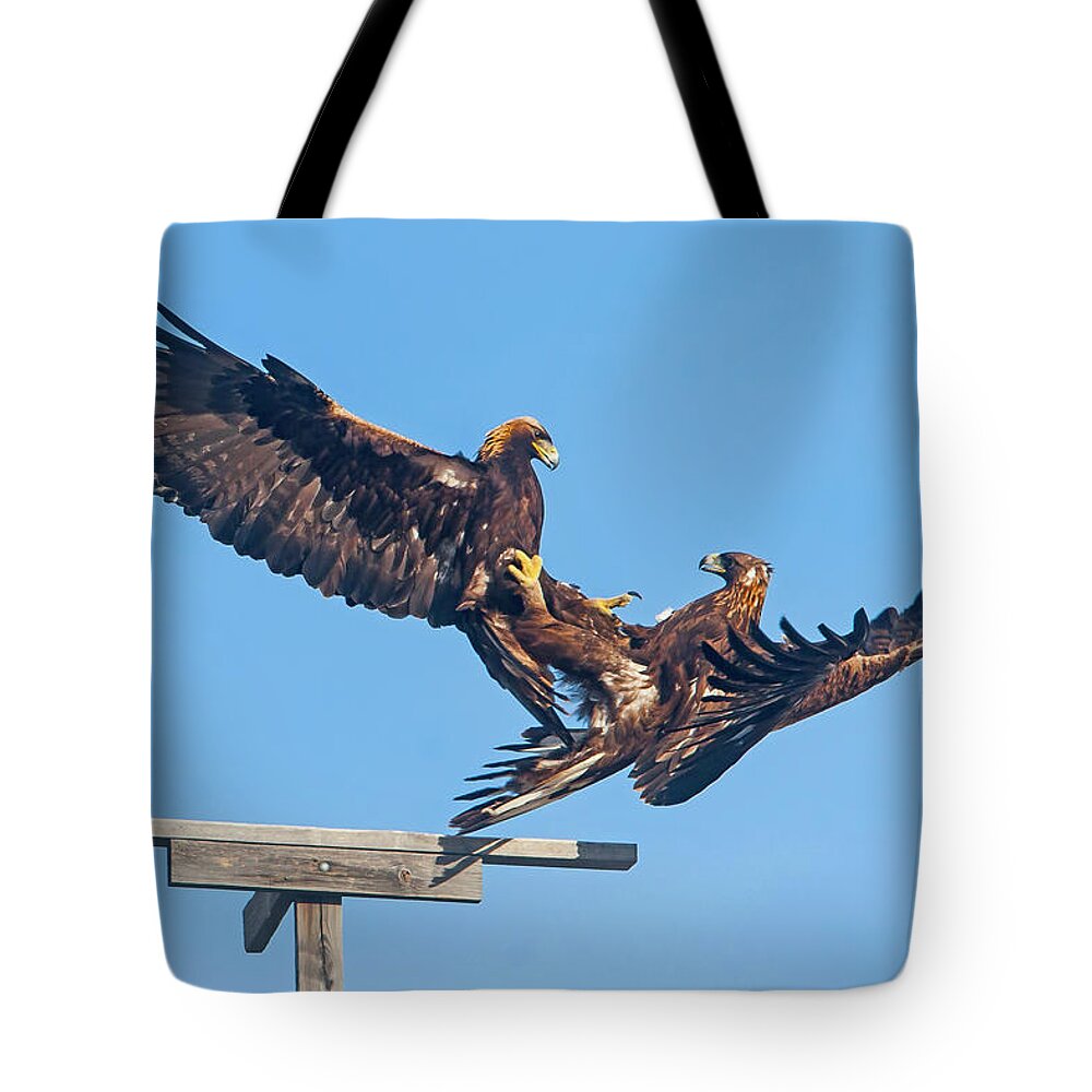 Mark Miller Photos Tote Bag featuring the photograph Golden Eagle Courtship by Mark Miller