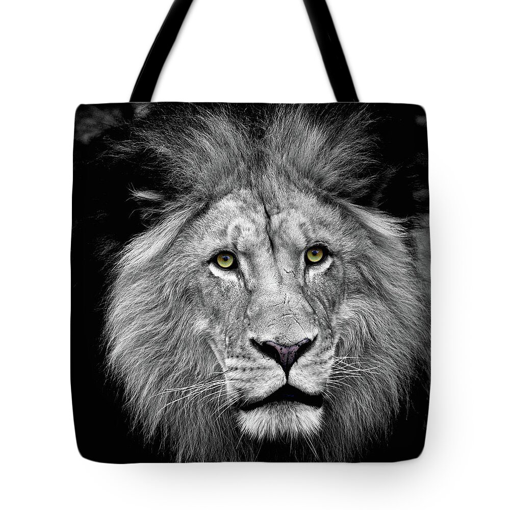 Lion Tote Bag featuring the photograph Golden Ees by Steve and Sharon Smith