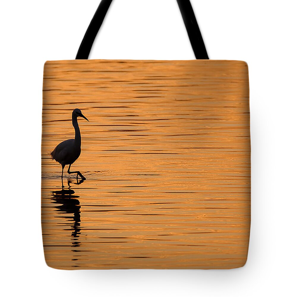 Little Tote Bag featuring the photograph Golden Egret by Paul Neville