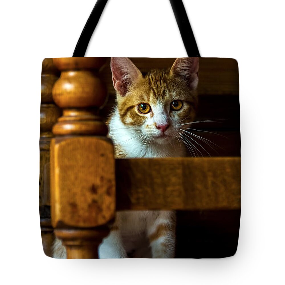 Goldeneye Tote Bag featuring the photograph Golden Eyes by Gary Holmes