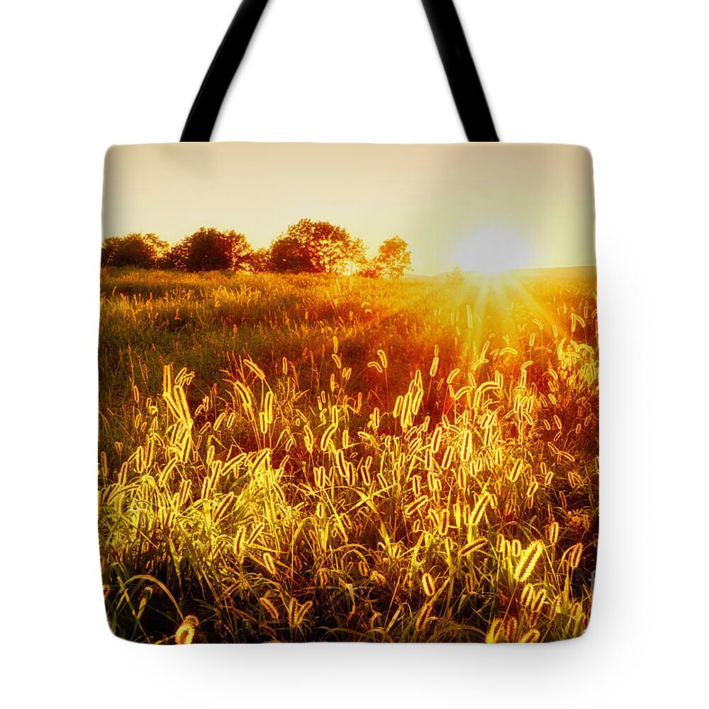 Sussex Tote Bag featuring the photograph Golden Fields by Mark Miller