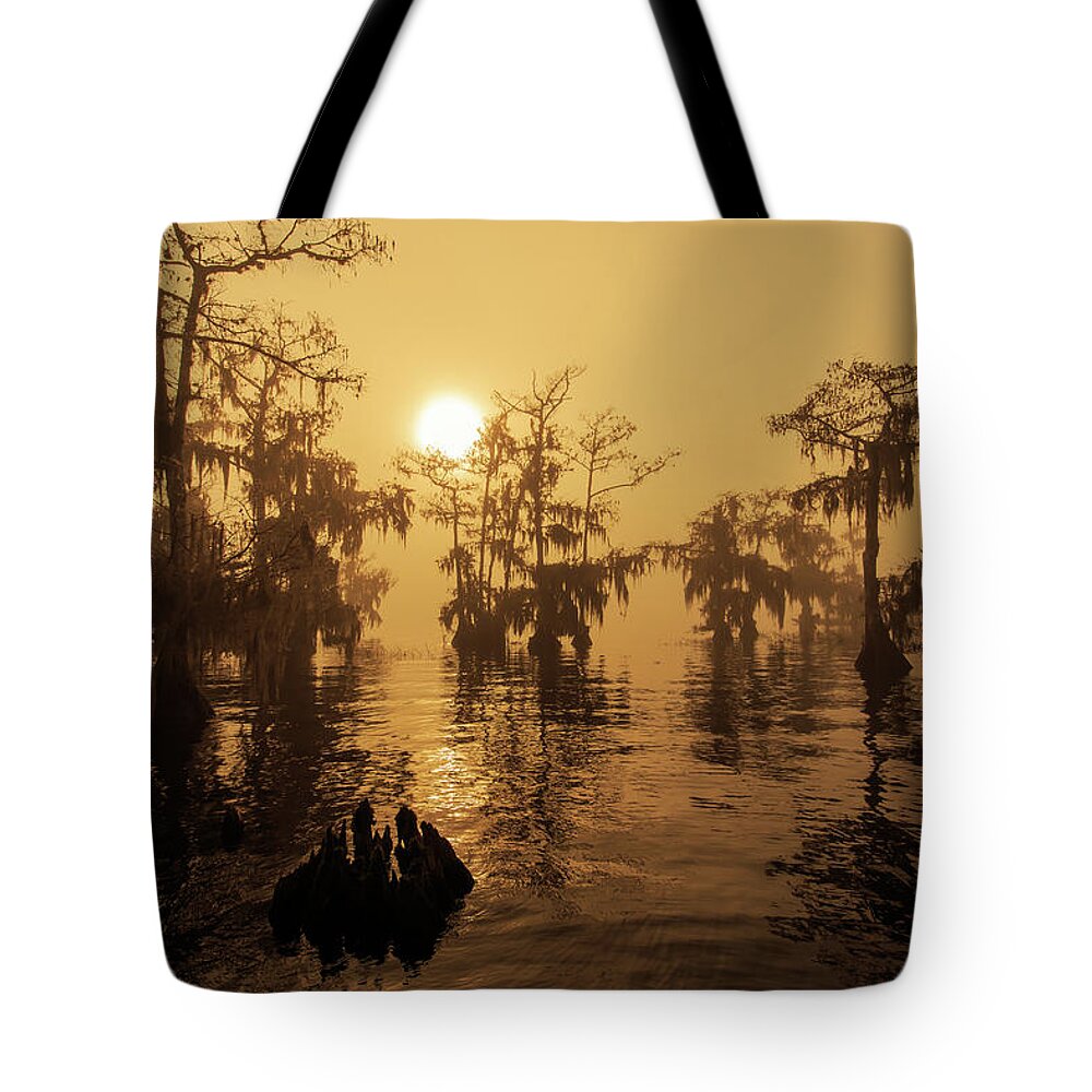 Florida Tote Bag featuring the photograph Golden Fog by Stefan Mazzola