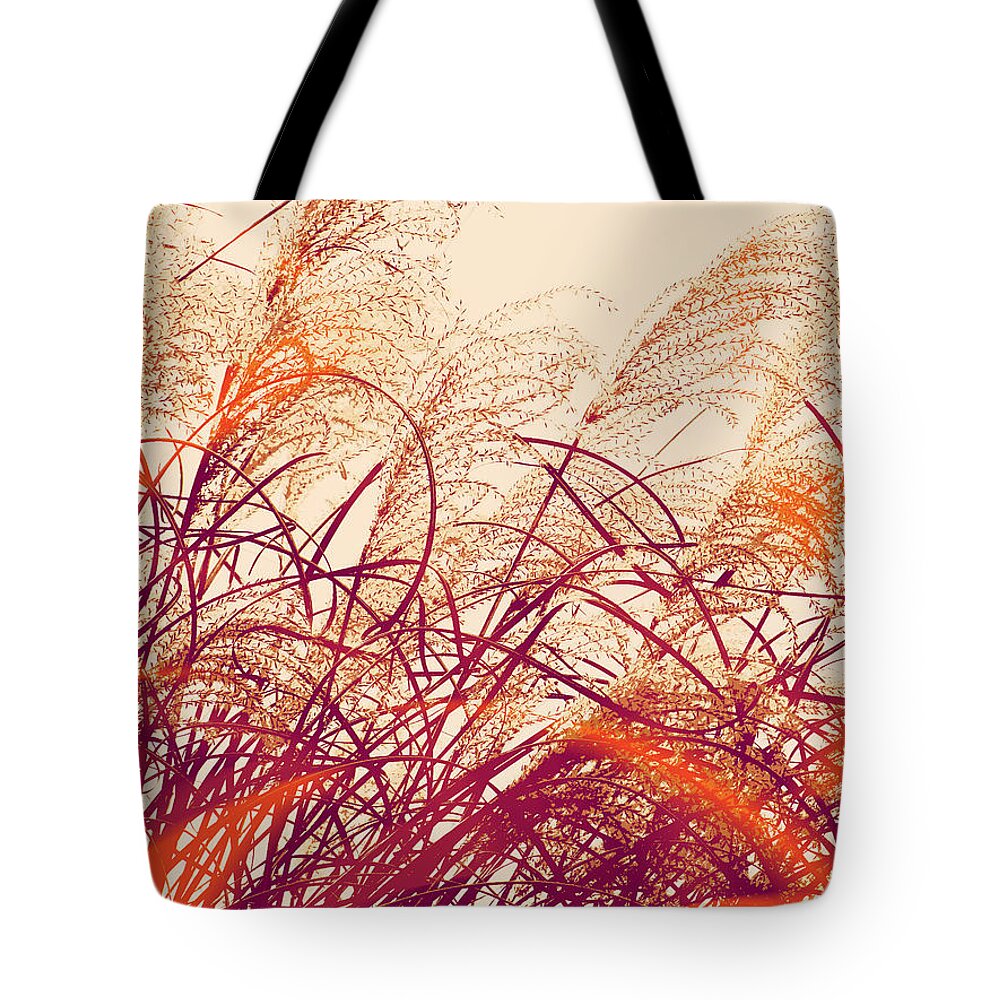 Abstract Pampas Tote Bag featuring the photograph Abstract Pampas by Stacie Siemsen