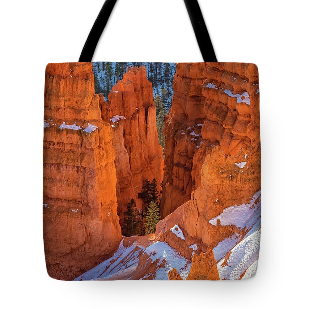 Natioanl Park Tote Bag featuring the photograph Golden Hoodoos by Jonathan Nguyen
