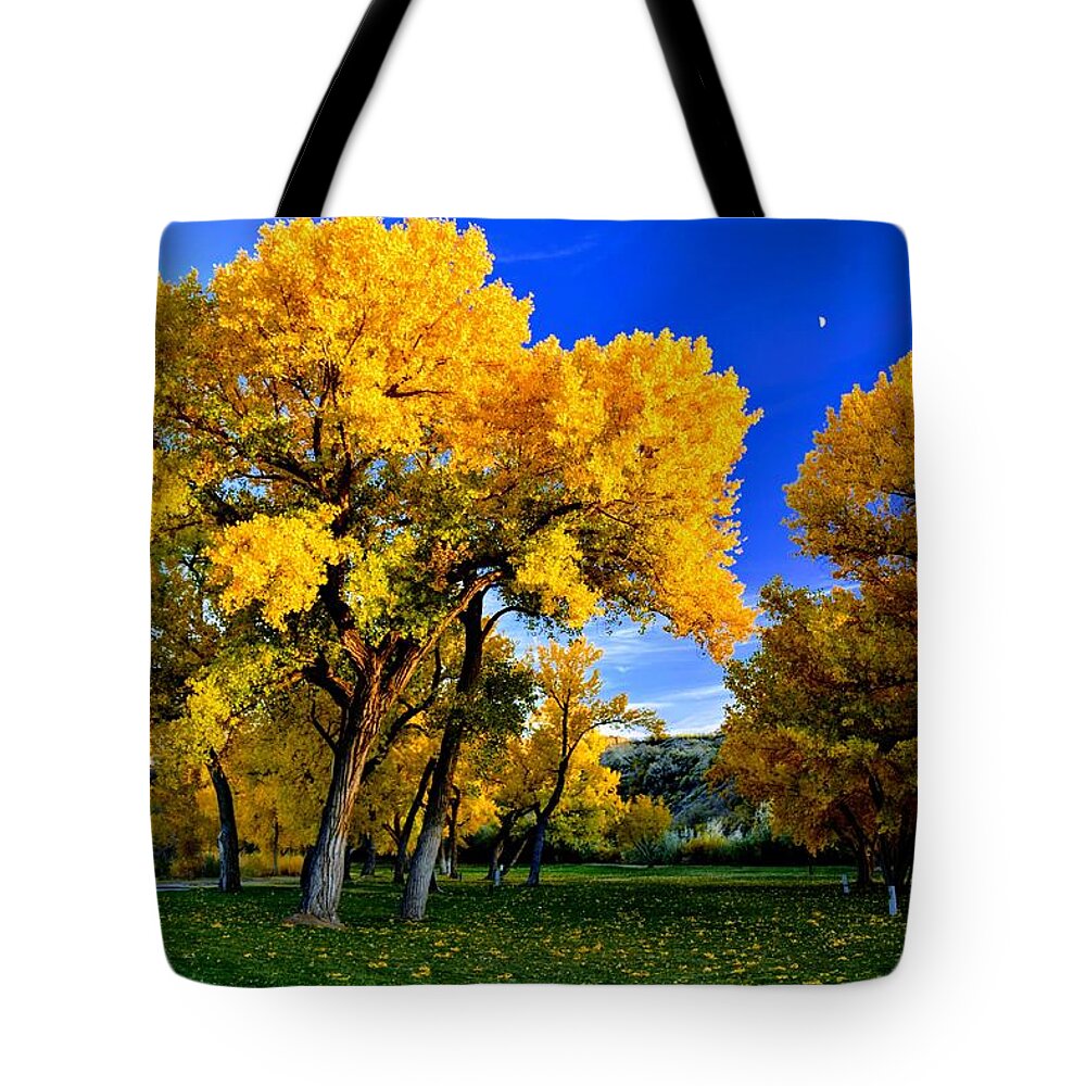 Cottonwoods In Park Tote Bag featuring the photograph Golden Hour in the Park by Michael Brungardt