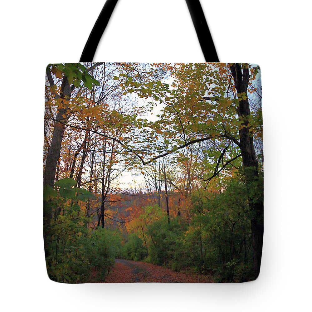 Golden Hour Of Autumn Tote Bag featuring the photograph Golden Hour of Autumn by PJQandFriends Photography